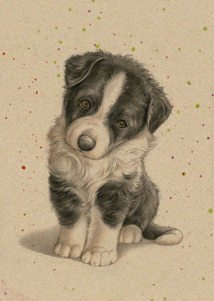 Kraftkaart A6 formaat (ansichtkaart) - kaart nummer 1 - Border Collie (per 5 stuks)