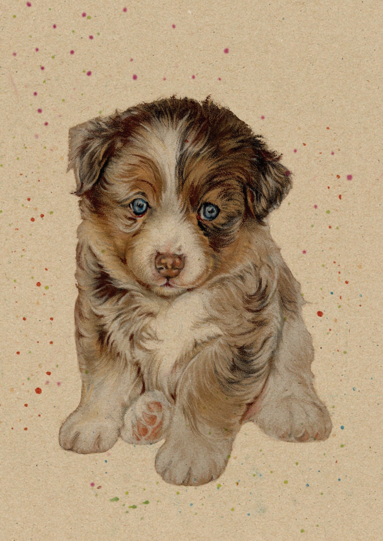 Kraftkarte im A6-Format (Postkarte) - Kartennummer 5 - Australian Shepherd-Welpe (pro 5 Stück)
