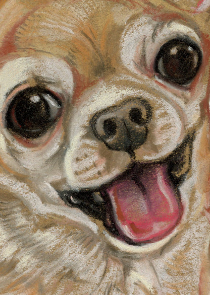 Kraftkaart A6 formaat (ansichtkaart) - kaart nummer 17 - Chihuahua (per 5 stuks)