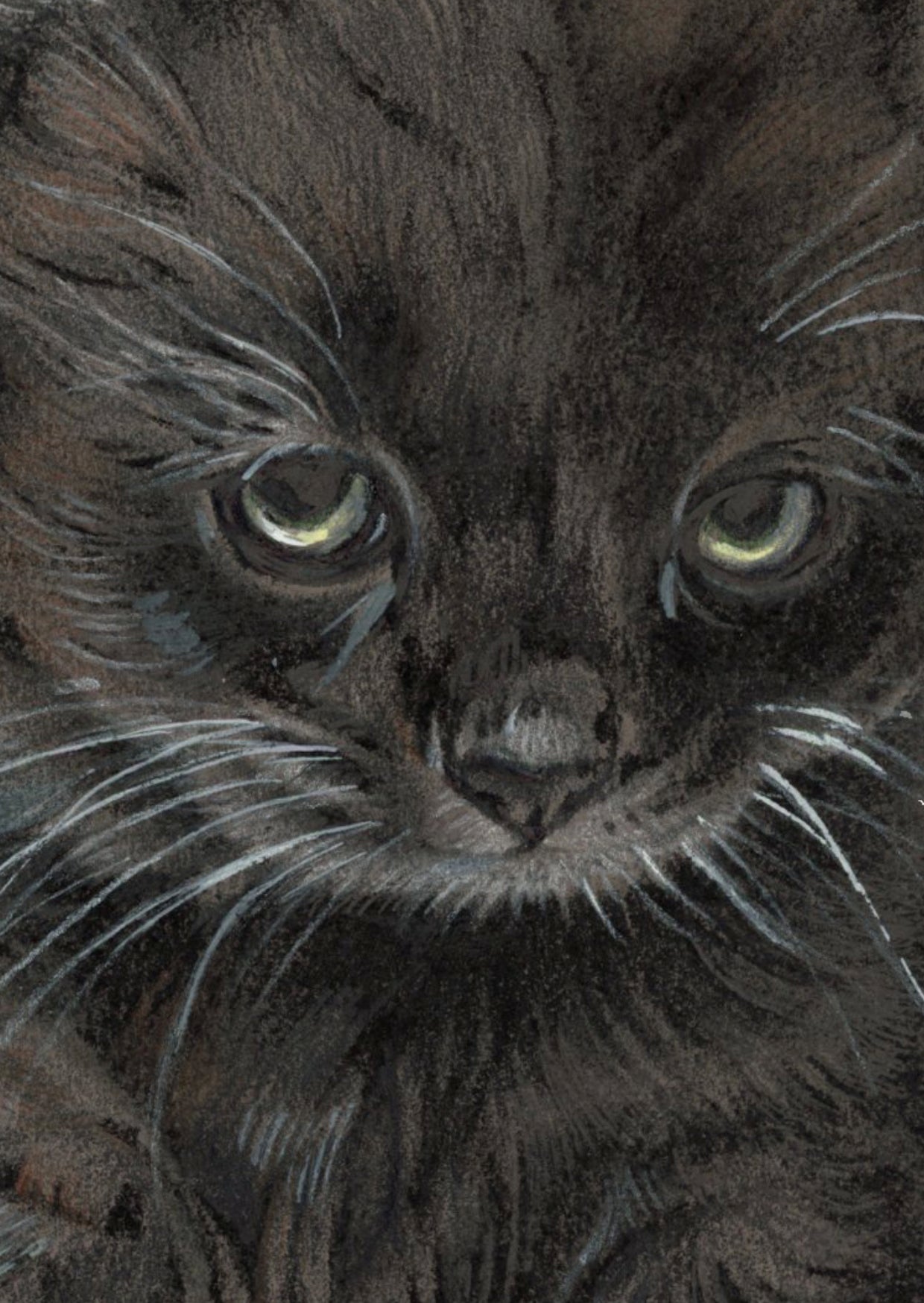 Kraftkaart A6 formaat (ansichtkaart) - kaart nummer 22 - Zwarte Kitten (per 5 stuks)