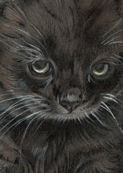 Kraftkaart A6 formaat (ansichtkaart) - kaart nummer 22 - Zwarte Kitten (per 5 stuks)