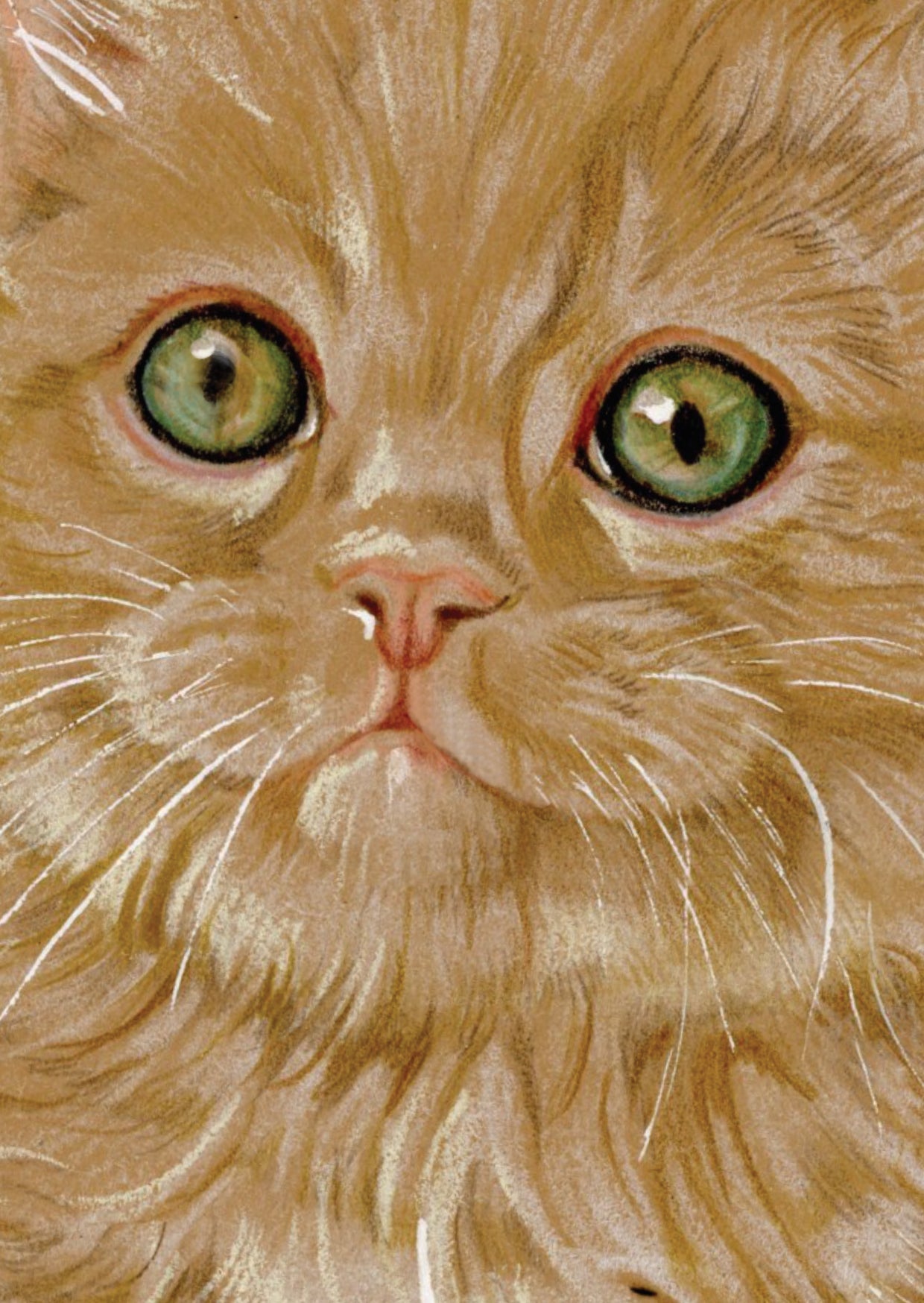 Kraftkaart A6 formaat (ansichtkaart) - kaart nummer 24 - Rode kat /  (per 5 stuks)