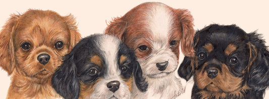 Schmale Karten - Cavalier King Charles Spaniels - pro 5 Stück