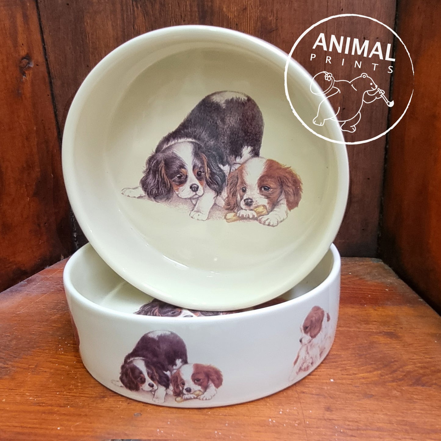 Futternapf für Cavalier King Charles Spaniel