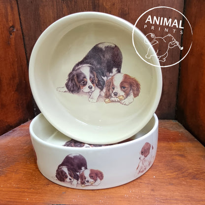 Futternapf für Cavalier King Charles Spaniel