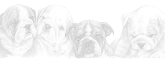 Schmale Karten – Englische Bulldogge – pro 5 Stück 