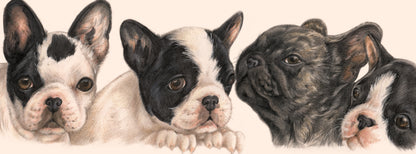 Smalle kaarten - Franse Bulldog