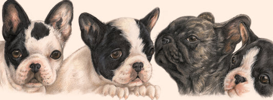 Schmale Karten – Französische Bulldogge – pro 5 Stück 
