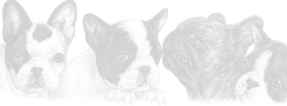 Smalle kaarten - Franse Bulldog