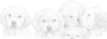 Schmale Karten – Golden Retriever – pro 5 Stück 