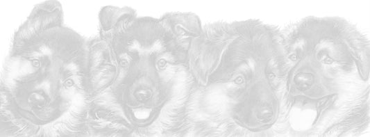 Schmale Karten – Deutscher Schäferhund – pro 5 Stück 