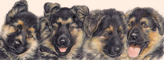 Schmale Karten – Deutscher Schäferhund – pro 5 Stück 