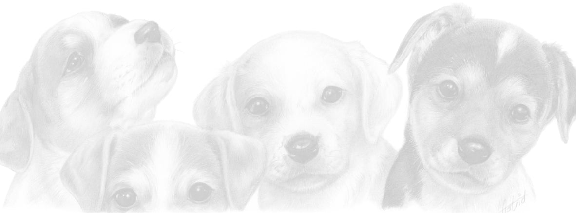 Smalle kaarten - Jack Russell Terrier