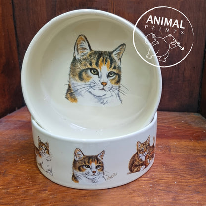 Katzenfutternapf-Design 1