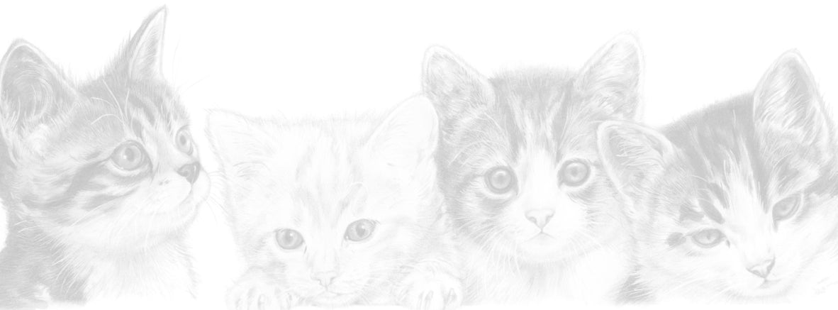 Smalle kaarten - Kattencollage 1