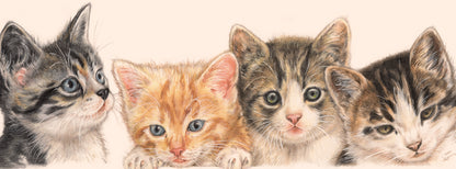 Smalle kaarten - Kattencollage 1