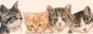 Smalle kaarten - Kattencollage 1