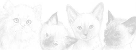 Schmale Karten - Katzencollage 2 - je 5 Stück 