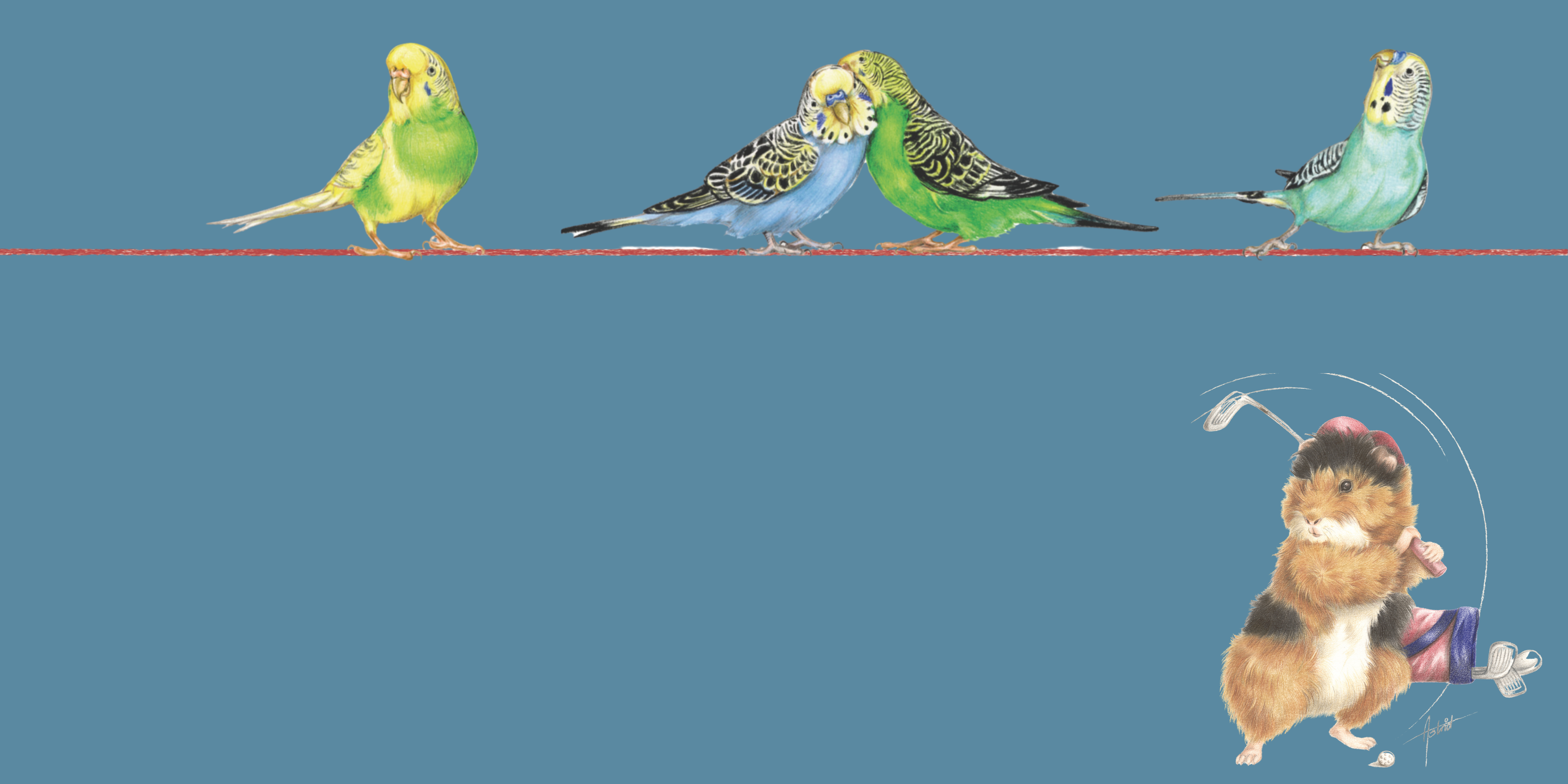Banner image