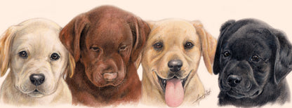 Smalle kaarten - Labrador Retrievers