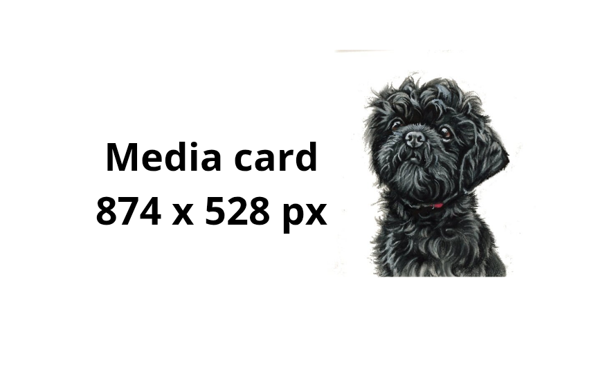 Media card image