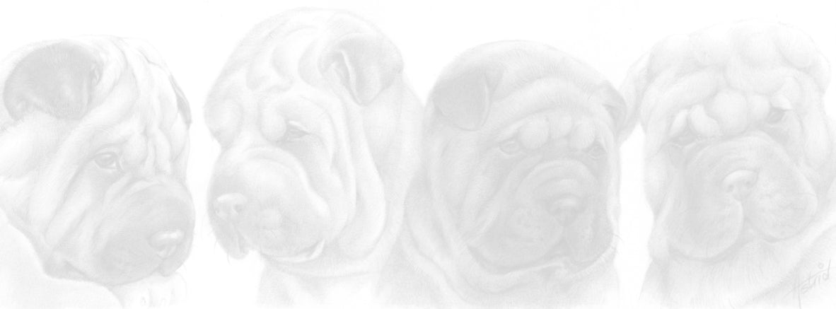 Smalle kaarten - Sharpei
