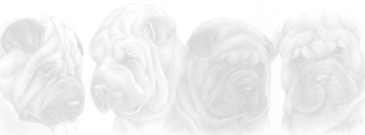 Schmale Karten – Sharpei – pro 5 Stück 