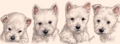 Smalle kaarten - West Highland White Terrier