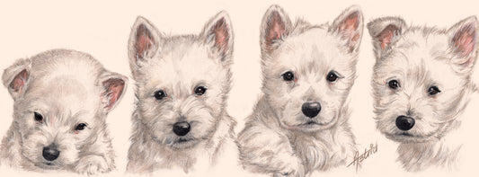 Schmale Karten - West Highland White Terrier - pro 5 Stück