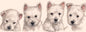 Smalle kaarten - West Highland White Terrier