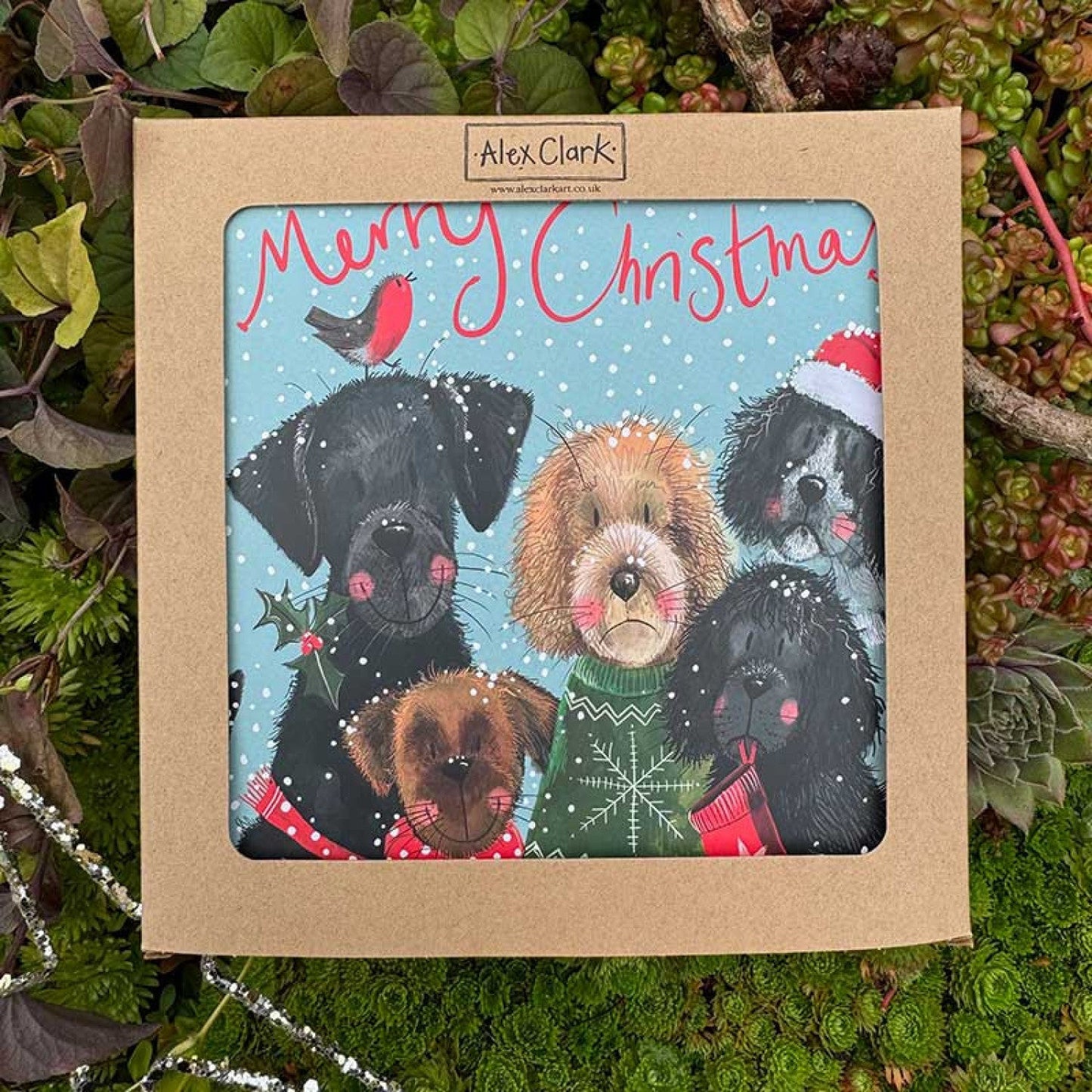 Alex Clark – Kartenbox – Hund 