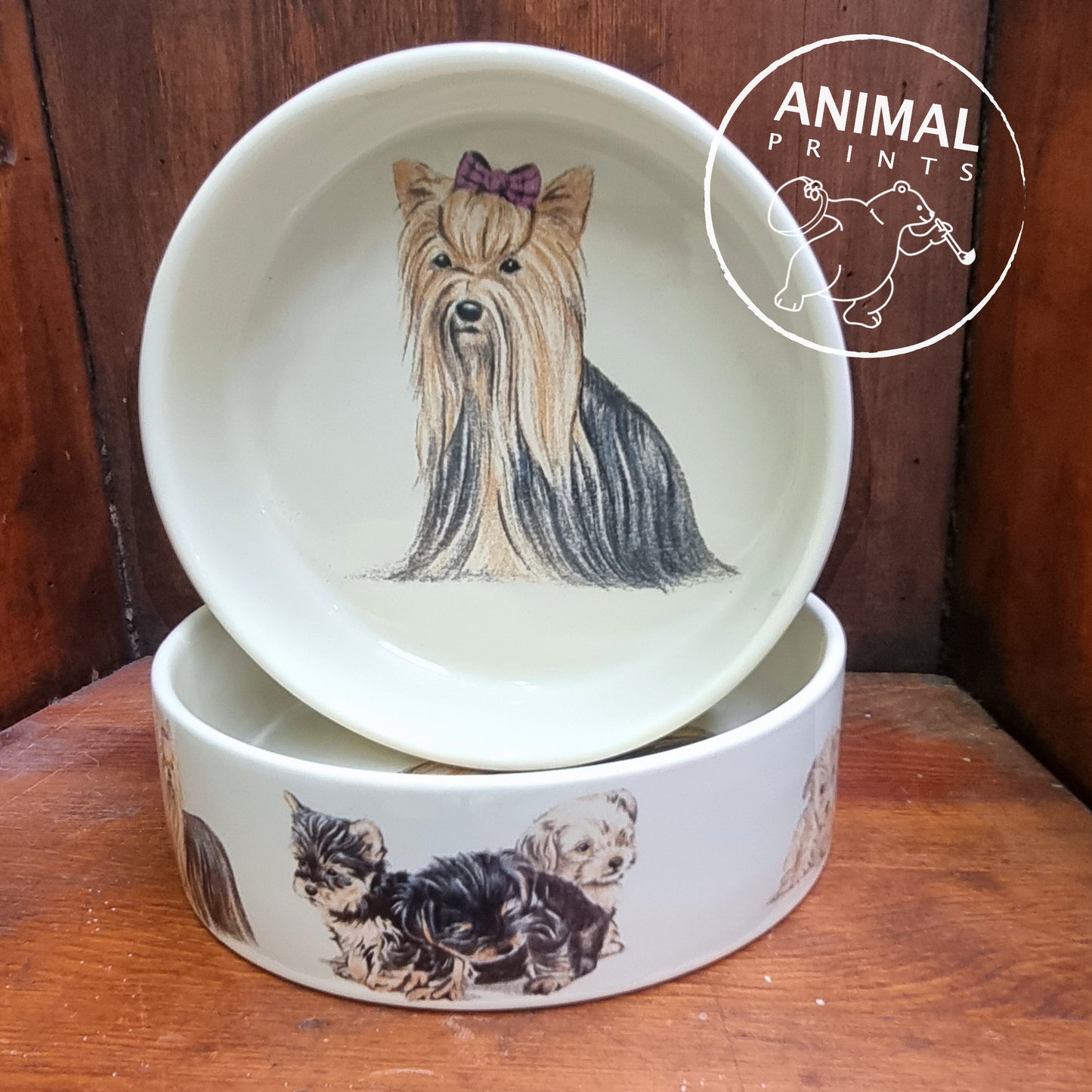 Feeding bowl Yorkshire Terrier