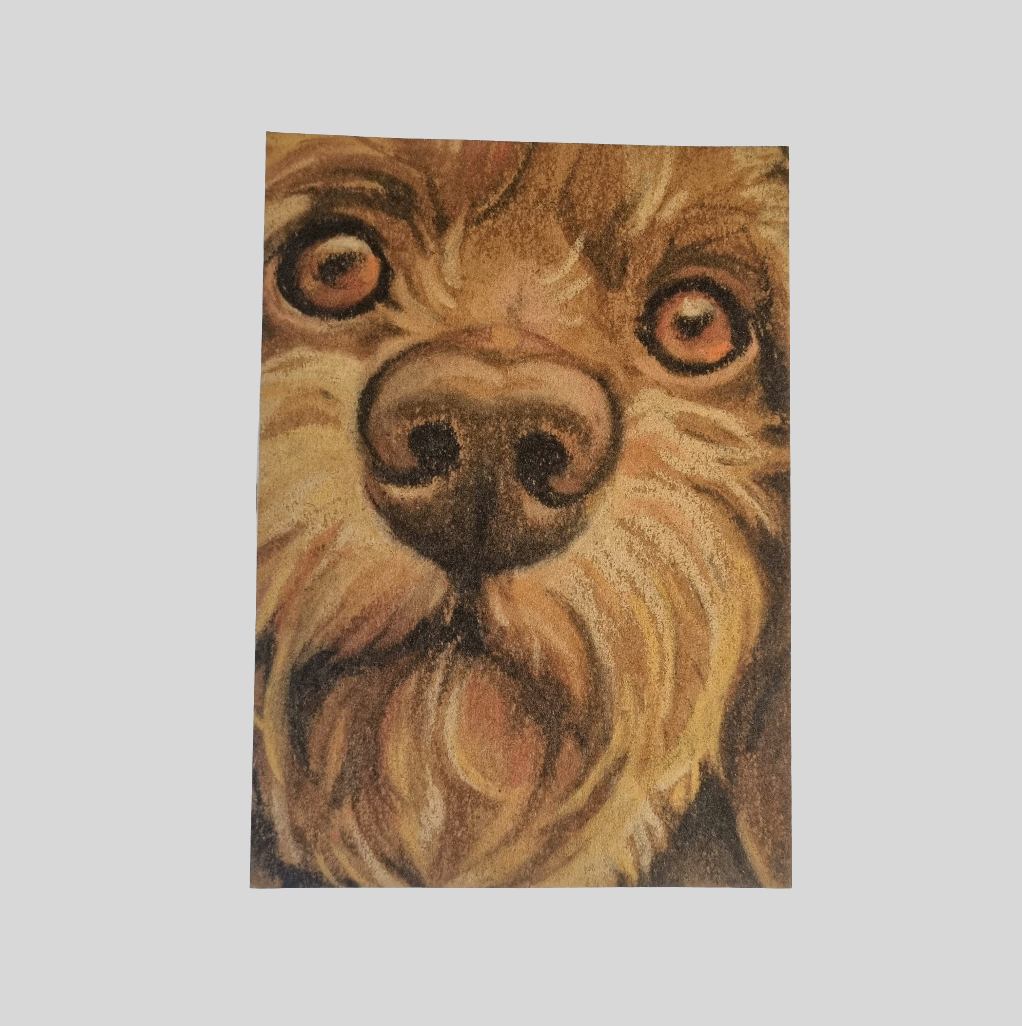 Kraftkaart A6 formaat (ansichtkaart) - kaart nummer 18 - Teckel/ Dachshund (per 5 stuks)