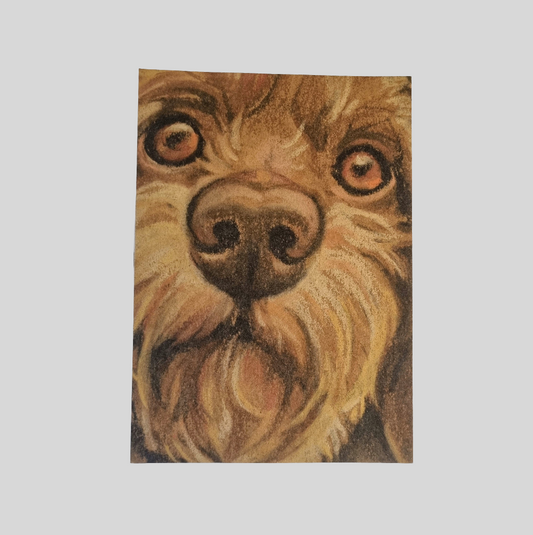 Kraftkaart A6 formaat (ansichtkaart) - kaart nummer 18 - Teckel/ Dachshund (per 5 stuks)