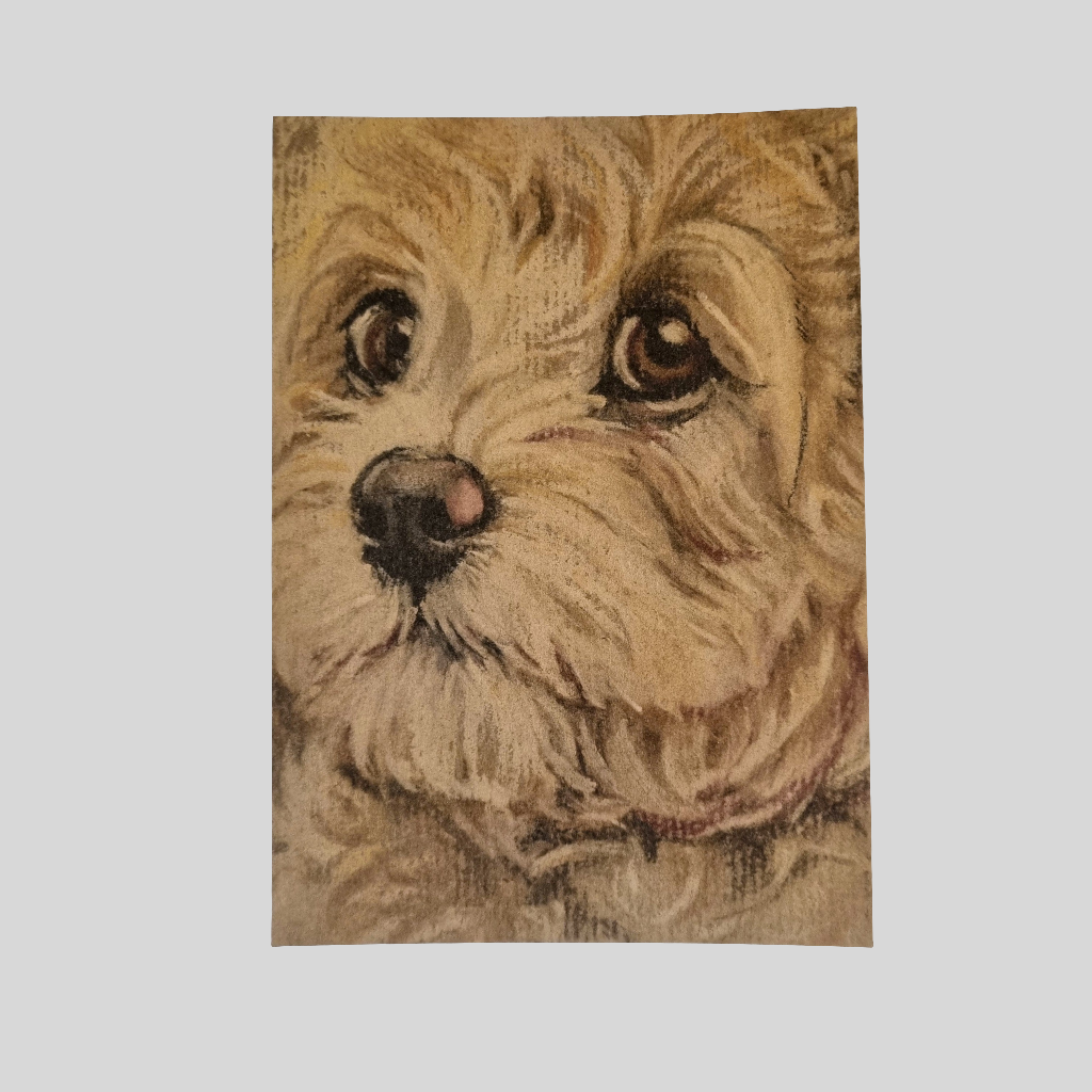 Kraftkaart A6 formaat (ansichtkaart) - kaart nummer 14 - Labradoodle (per 5 stuks)