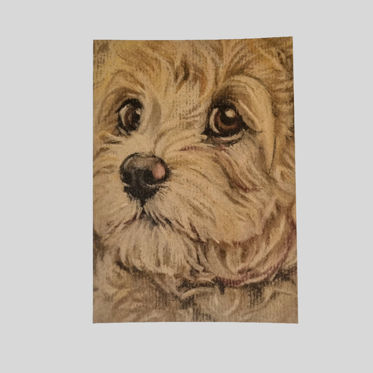 Kraftkaart A6 formaat (ansichtkaart) - kaart nummer 14 - Labradoodle (per 5 stuks)