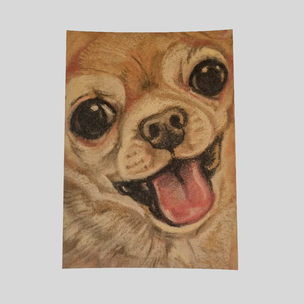 Kraftkaart A6 formaat (ansichtkaart) - kaart nummer 17 - Chihuahua (per 5 stuks)