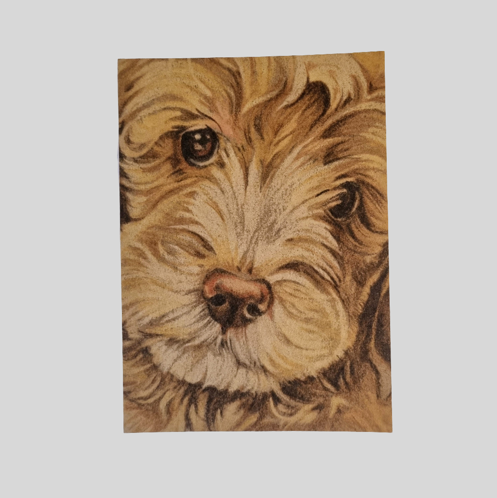 Kraftkaart A6 formaat (ansichtkaart) - kaart nummer 15- Labradoodle (per 5 stuks)