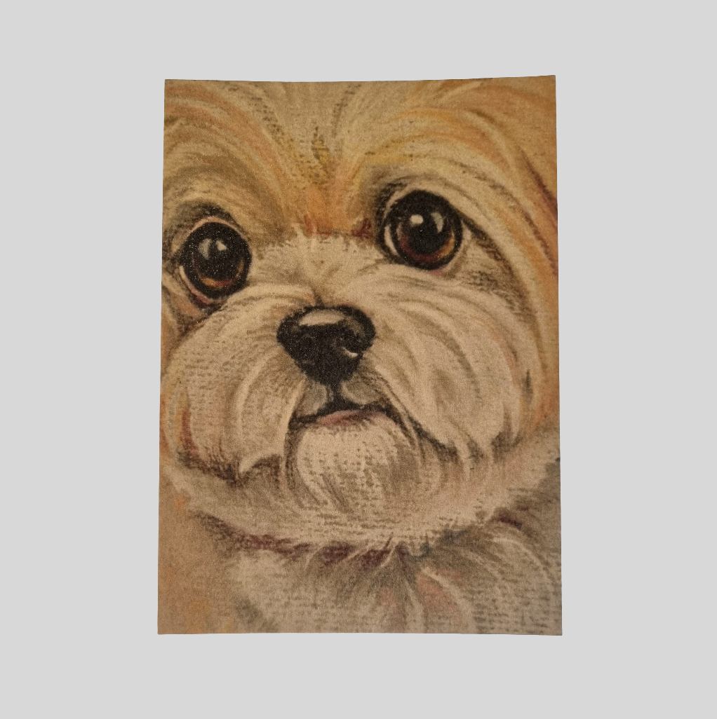 Kraftkaart A6 formaat (ansichtkaart) - kaart nummer 16 - Boomer (per 5 stuks)