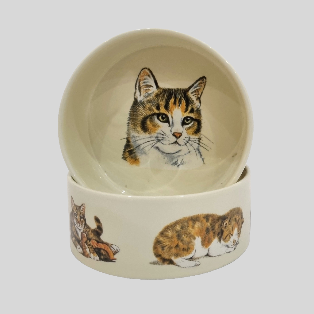 Katzenfutternapf-Design 1