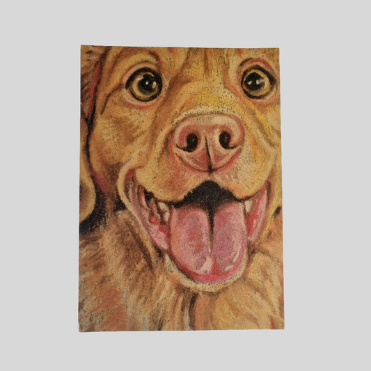 Kraftkaart A6 formaat (ansichtkaart) - kaart nummer 20 -  Nova Scotia Duck Tolling Retriever  (per 5 stuks)