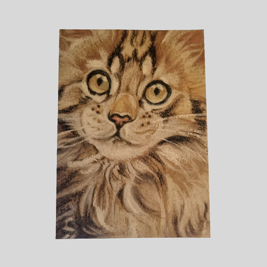 Kraftkaart A6 formaat (ansichtkaart) - kaart nummer 21 - Maine Coon (per 5 stuks)