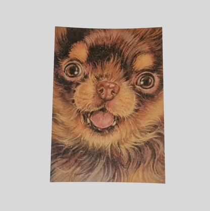 Kraftkaart A6 formaat (ansichtkaart) - kaart nummer 13 - Chihuahua (per 5 stuks)