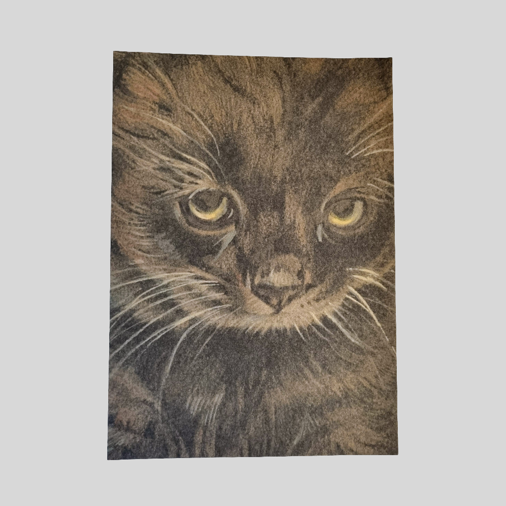 Kraftkaart A6 formaat (ansichtkaart) - kaart nummer 22 - Zwarte Kitten (per 5 stuks)