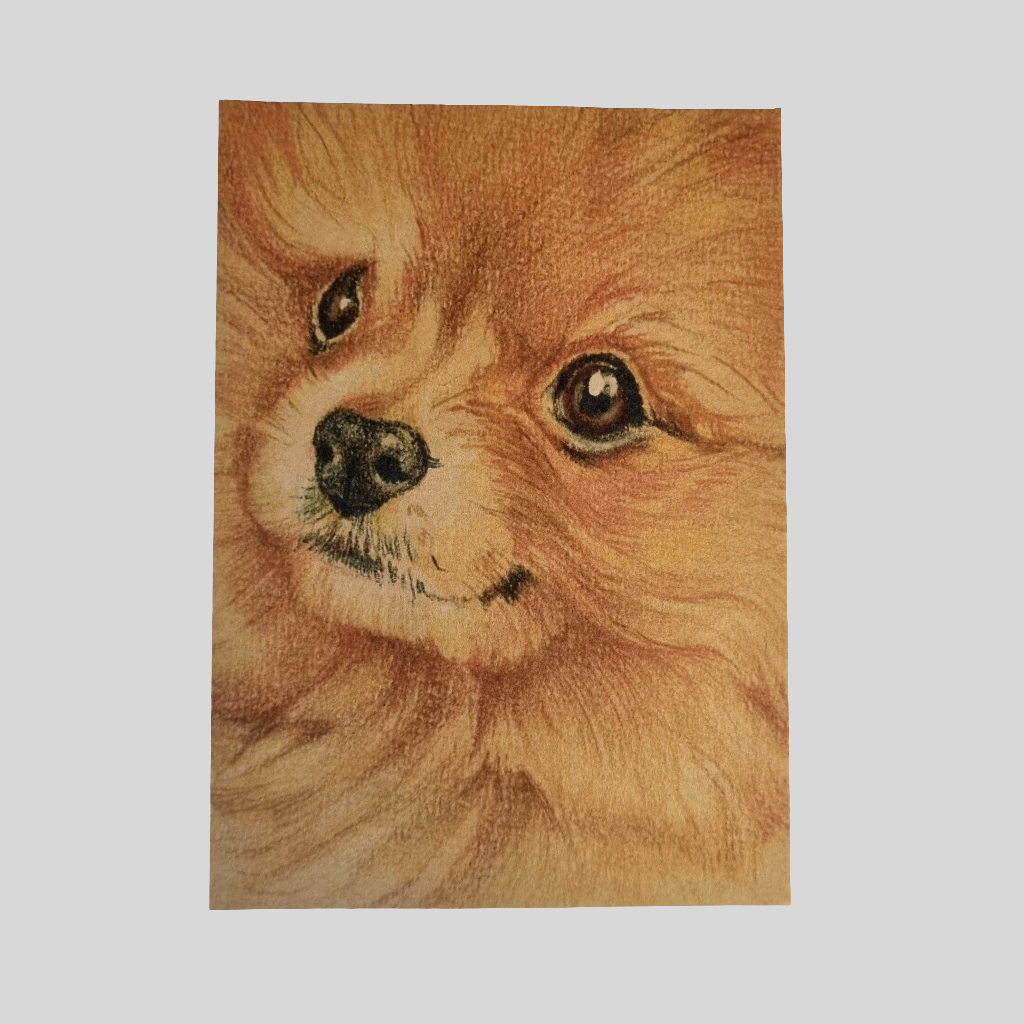 Kraftkaart A6 formaat (ansichtkaart) - kaart nummer 19 - Pomeriaan (per 5 stuks)