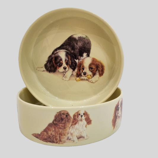 Futternapf für Cavalier King Charles Spaniel