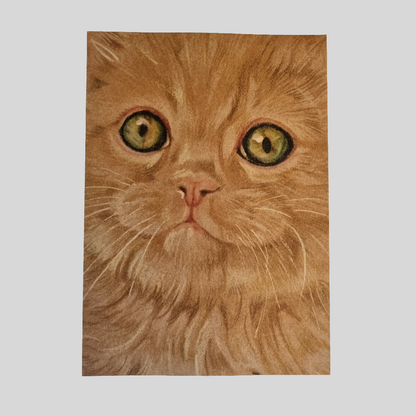 Kraftkaart A6 formaat (ansichtkaart) - kaart nummer 24 - Rode kat /  (per 5 stuks)