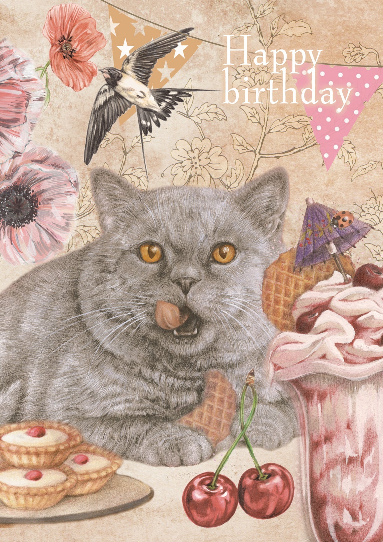 Klapkaart A4 formaat - Happy Birthday - Brits Shorthair