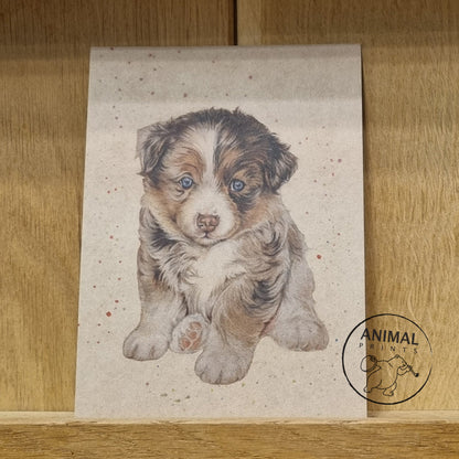 Kraftkarte im A6-Format (Postkarte) - Kartennummer 5 - Australian Shepherd-Welpe (pro 5 Stück)
