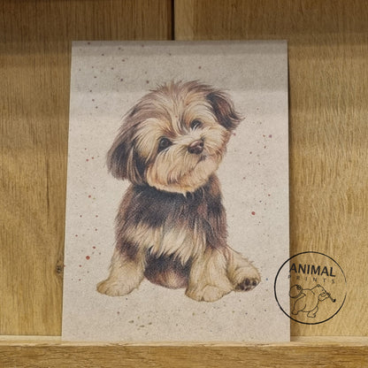 Kraftkarte im A6-Format (Postkarte) - Kartennummer 4 - Junger Hund (pro 5 Stück)